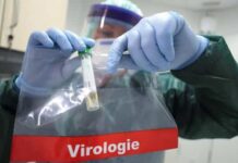 Equipe da OMS inicia investigação sobre origem do novo coronavírus