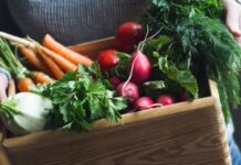 Saiba como utilizar legumes e verduras para enriquecer receitas