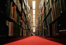 Aranhas venenosas obrigam a encerramento de biblioteca nos EUA