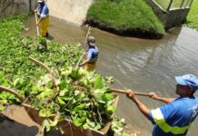 Saae trabalha diariamente na remoção de algas em bacia de contenção no Jd. Abaeté