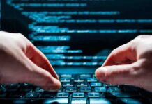 Estudantes criam software que auxilia na prevenção e no combate à violência