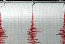 Alerta de tsunami é emitido na Nova Zelândia após sismo de magnitude 8,1