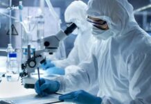 Cientistas criam ‘embriões simulados’ com poucos dias de vida em laboratório