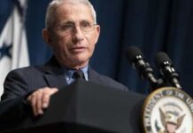 Fauci e equipe dos EUA discutirão com Brasil formas de ajudar com pandemia