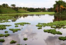 Bacia de contenção no Jd. Abaeté começa a ser desobstruída