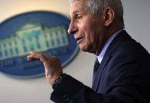 Para Anthony Fauci, mundo conduziu mal pandemia, mas EUA se saiu pior