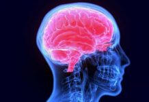 Estudo aponta risco maior de trombose cerebral em quem teve covid-19