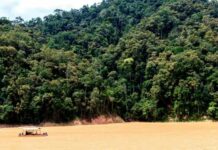 Infovia subfluvial vai levar internet ao Norte, por rios da Amazônia