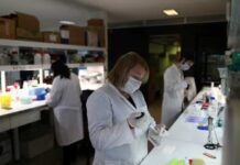 Cientistas investigam pessoas imunes à covid-19