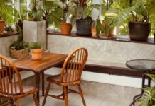 Aprenda a fazer um inseticida natural para usar nas plantas da sua casa