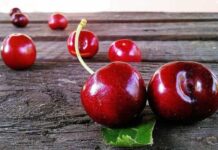 Saiba quatro frutas para uma pele perfeita, protegida e hidratada
