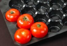 Saiba escolher e armazenar corretamente legumes e verduras