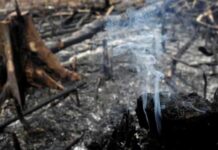 Criança de 3 anos morre em incêndio na zona leste da capital paulista