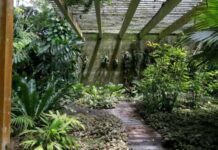 Sítio Roberto Burle Marx, um legado para a humanidade