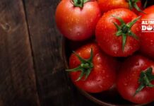 Pobre em calorias e cheio de vitaminas! Use e abuse do tomate