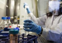 Identificado segundo paciente com HIV livre do vírus sem tratamento