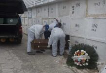 Brasil registra 373 mortes e 11.977 casos de covid-19 em 24h