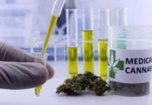 Anvisa aprova mais um produto medicinal à base de Cannabis