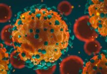 Covid: estudo aponta aumento de bactérias resistentes em internações