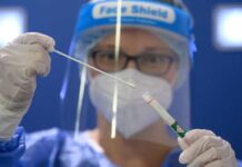 Covid-19. Nova variante detectada na França tem 46 mutações