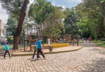 Zoológico de SP começa a receber melhorias e terá projeto sustentável