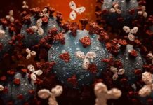 Vírus da covid-19 se dissemina no nível mais forte da pandemia, diz Opas