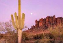 Jovem cai e morre ao fazer self do topo de uma montanha no Arizona