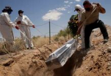 Brasil registra 1.264 mortes e 178.814 casos de covid-19 em 24h