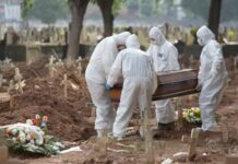 Brasil registra 253 óbitos e 31.561 novos casos de covid-19 em 24h