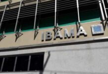 Ibama aponta risco de prescrição de 5.000 infrações ambientais lavradas na gestão Bolsonaro