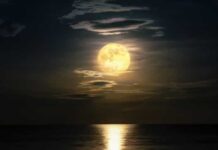 As previsões, signo a signo, para a Lua Cheia em Virgem