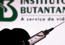 Instituto Butantan usa molécula de frutas cítricas contra picada de jararaca