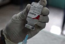 Minas investiga raiva humana em criança de 11 anos; 4º caso no estado