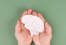 Nutriente pode ajudar a reverter envelhecimento cerebral, sugere estudo