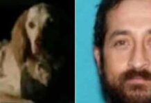 Corpo de alpinista é achado após 2 semanas sumido e cão se nega a deixá-lo