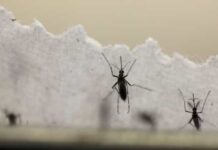 Dengue dispara no país, e reagente de testes se esgota