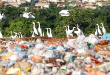 Ritmo do governo Bolsonaro para fechar lixões joga meta para 2063