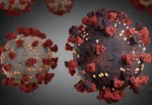 Covid-19: SP tem dois casos identificados da variante Ômicron XQ