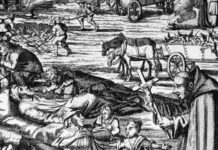 Quão mortal foi a pandemia da Peste Negra?