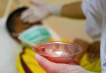 Casos de dengue aumentam 113,7% nos quatro primeiros meses de 2022