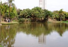 Prefeitura inicia desassoreamento do lago do Parque da Água Vermelha nesta segunda-feira (9)