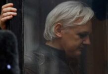 Entidades brasileiras pedem libertação de Julian Assange em evento da ONU