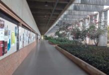 Metade é a favor de cotas raciais em universidades; 34% são contra, diz Datafolha