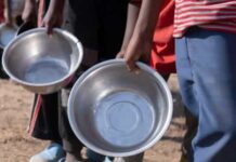 1 em cada 4 brasileiros diz que falta comida em casa, mostra Datafolha
