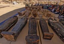 Egito anuncia a descoberta de 250 sarcófagos
