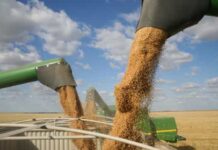 Rússia e Ucrânia assinam acordo para desbloquear grãos e aliviar crise global