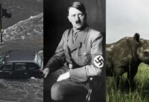 30 videntes obscuros e suas profecias chocantemente precisas