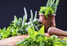 Seis alimentos ricos em ácido fólico. Entenda a sua importância