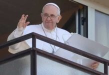 Quem são os novos cardeais brasileiros nomeados pelo papa Francisco
