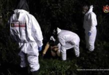 Assassinato de psicóloga choca Colômbia. Cunhado esfaqueou-a 11 vezes